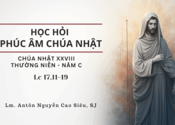 HỌC HỎI PHÚC ÂM CHÚA NHẬT XXVIII THƯỜNG NIÊN – Năm C