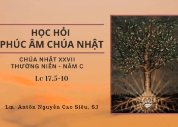HỌC HỎI PHÚC ÂM CHÚA NHẬT XXVII THƯỜNG NIÊN – Năm C