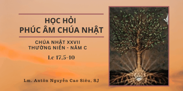 HỌC HỎI PHÚC ÂM CHÚA NHẬT XXVII THƯỜNG NIÊN – Năm C