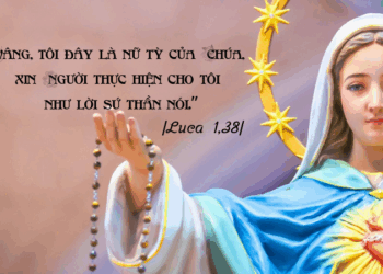 Chúa Nhật 5.10.2025 Mẹ của đời thường