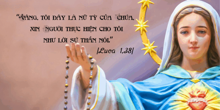 Chúa Nhật 5.10.2025 Mẹ của đời thường