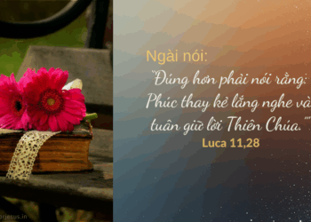 Thứ Bảy 11.10.2025 Lắng nghe và tuân giữ lời Chúa