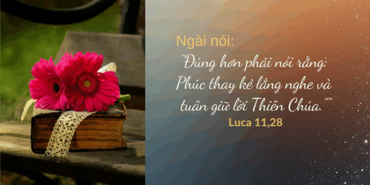 Thứ Bảy 11.10.2025 Lắng nghe và tuân giữ lời Chúa