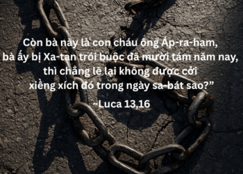 Thứ Hai 27.10.2025 Luật Hướng Tới Sự Sống