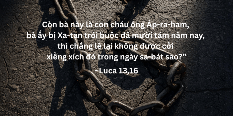 Thứ Hai 27.10.2025 Luật Hướng Tới Sự Sống