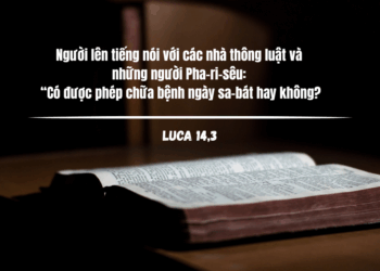 Thứ Sáu 31.10.2025 Tình Chúa và tình người