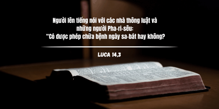 Thứ Sáu 31.10.2025 Tình Chúa và tình người