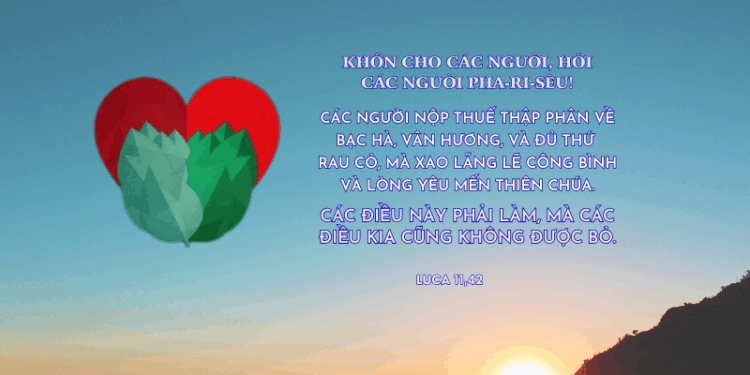 Thứ Tư 15.10.2025 Công bằng và yêu mến