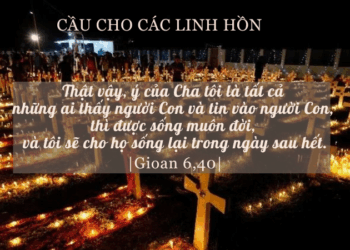 Chúa Nhật 2.11.2025 Chết Là Đi Vào Cõi Sống Vĩnh Hằng