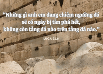 Thứ Ba 25.11.2025 Đừng bám víu vào những gì không trường tồn