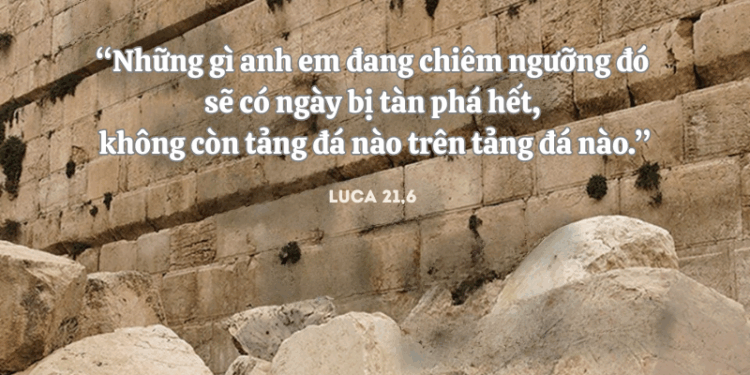 Thứ Ba 25.11.2025 Đừng bám víu vào những gì không trường tồn