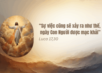 Thứ Sáu 14.11.2025 Quyền năng của Thiên Chúa nên trọn vẹn trong sự yếu đuối