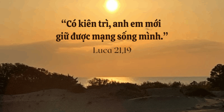 Thứ Tư 26.11.2025 Trung tín ngay giữa những thất bại