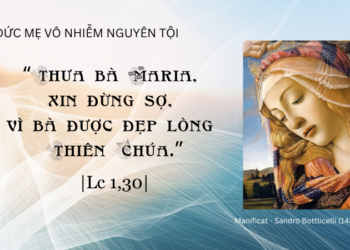 Thứ Hai 08.12.2025 Sống trong tình yêu