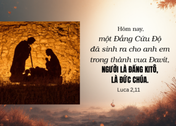 Thứ Tư 24.12.2025 – Lễ Đêm Ánh Sáng Bừng Lên Trong Đêm Tối