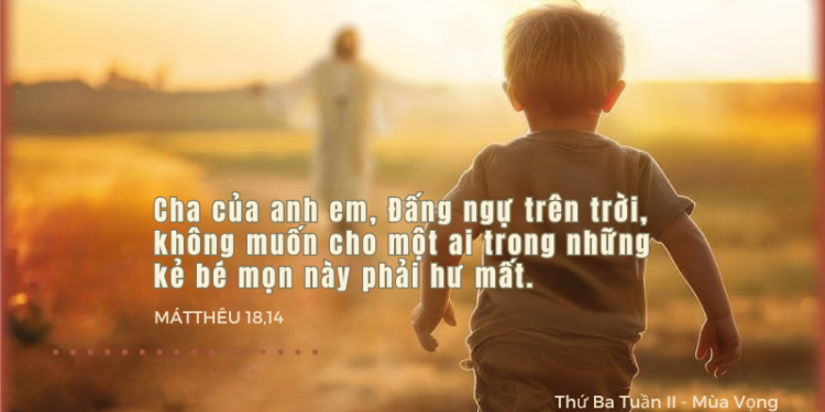 Thứ Ba 09.12.2025 Thực thi thánh ý của Chúa Cha trên trời