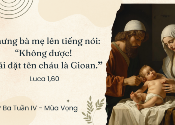 Thứ Ba 23.12.2025 Rượu Mới Và Tự Do Của Con Cái Thiên Chúa