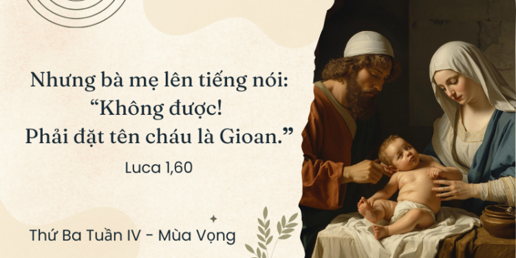 Thứ Ba 23.12.2025 Rượu Mới Và Tự Do Của Con Cái Thiên Chúa