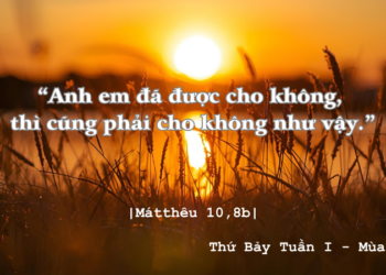 Thứ Bảy 06.12.2025 Anh em đã được cho không.