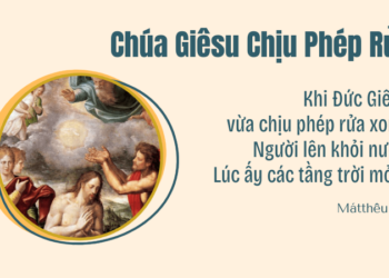 Chúa Nhật 11.01.2026Phép Rửa – Ân Huệ và Sứ Mạng