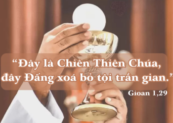Thứ Bảy 03.01.2026 Chứng Tá Âm Thầm Cho Chiên Thiên Chúa