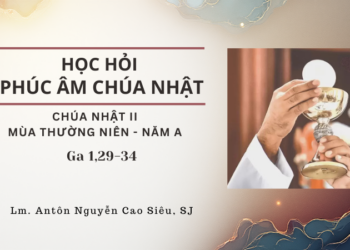 Học Hỏi Phúc Âm Chúa Nhật II Mùa Thường Niên – Năm A
