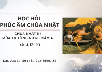 Học Hỏi Phúc Âm Chúa Nhật III Mùa Thường Niên – Năm A