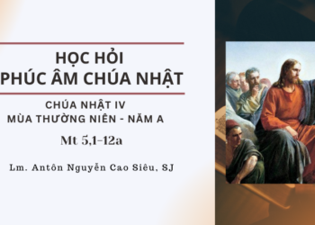 Học Hỏi Phúc Âm Chúa Nhật IV Mùa Thường Niên – Năm A