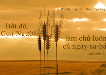 Thứ Ba 20.01.2026 Ngày Sa-bát Vì Con Người