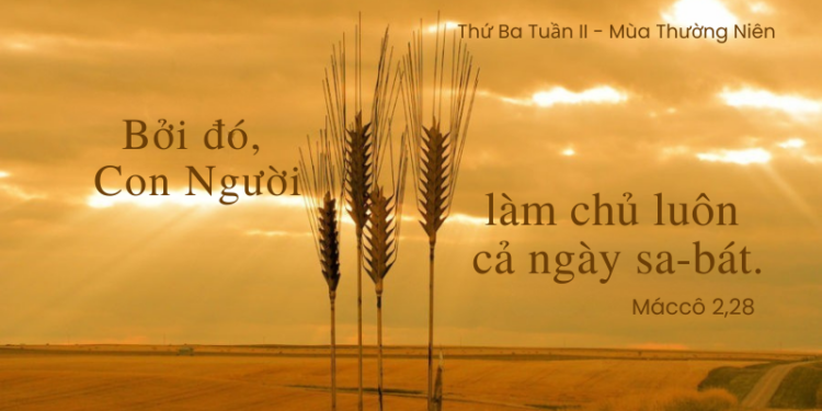 Thứ Ba 20.01.2026 Ngày Sa-bát Vì Con Người
