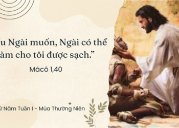 Thứ Năm 15.01.2026 Lòng Thương Xót Vượt Mọi Ranh Giới