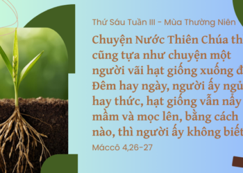 Thứ Sáu 30.01.2026Hạt giống lớn lên trong lòng đất