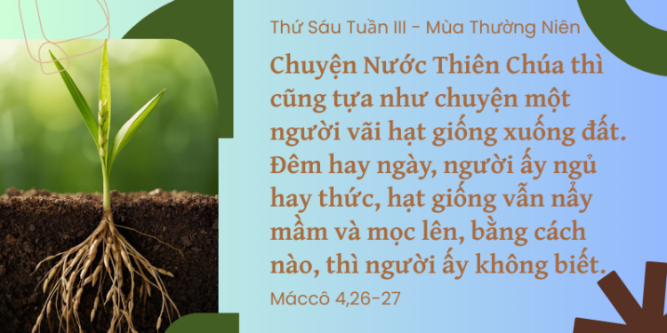 Thứ Sáu 30.01.2026Hạt giống lớn lên trong lòng đất