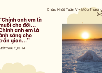Chúa Nhật 08.02.2026 Muối cho đời, ánh sáng cho trần gian