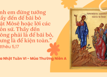 Chúa Nhật 15.02.2026 Từ Lề Luật đến Trái Tim
