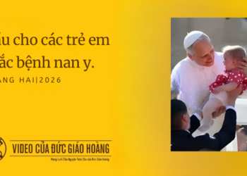 Cầu nguyện cùng Đức Thánh Cha – Tháng 2 năm 2026 Cầu cho các trẻ em mắc bệnh nan y