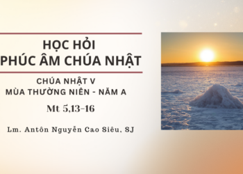 Học Hỏi Phúc Âm Chúa Nhật V Mùa Thường Niên – Năm A