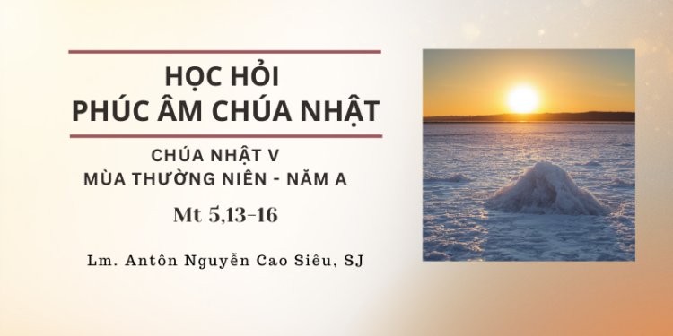 Học Hỏi Phúc Âm Chúa Nhật V Mùa Thường Niên – Năm A