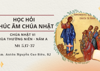 Học Hỏi Phúc Âm Chúa Nhật VI Mùa Thường Niên – Năm A