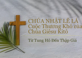 Chúa Nhật 29.03.2026 Từ Tung Hô Đến Thập Giá