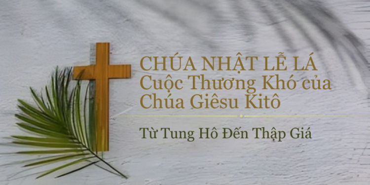 Chúa Nhật 29.03.2026 Từ Tung Hô Đến Thập Giá