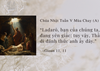 Chúa Nhật 22.03.2026 Tình Bạn Với Chúa Giêsu và Niềm Tin Vượt Qua Sự Chết