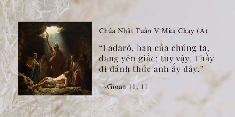 Chúa Nhật 22.03.2026 Tình Bạn Với Chúa Giêsu và Niềm Tin Vượt Qua Sự Chết
