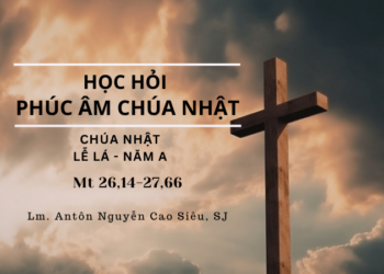 Học Hỏi Phúc Âm Chúa Nhật Lễ Lá – Năm A
