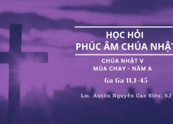 Học Hỏi Phúc Âm Chúa Nhật V Mùa Chay – Năm A