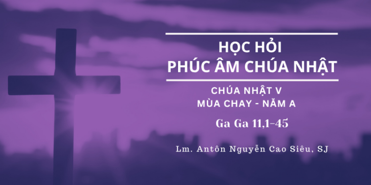 Học Hỏi Phúc Âm Chúa Nhật V Mùa Chay – Năm A