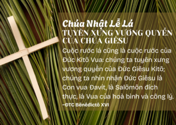 Chúa Nhật Lễ Lá TUYÊN XƯNG VƯƠNG QUỀN CỦA CHÚA GIÊSU