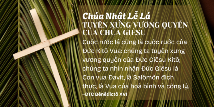 Chúa Nhật Lễ Lá TUYÊN XƯNG VƯƠNG QUỀN CỦA CHÚA GIÊSU