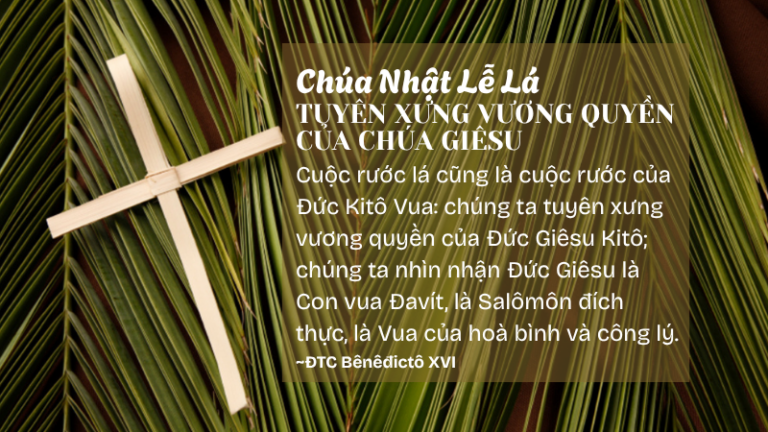 Chúa Nhật Lễ Lá<br /> TUYÊN XƯNG VƯƠNG QUỀN CỦA CHÚA GIÊSU