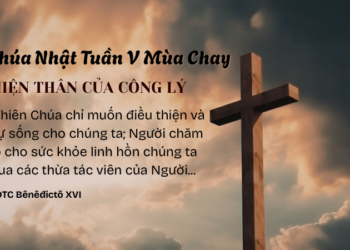 Chúa Nhật Tuần V Mùa Chay HIỆN THÂN CỦA CÔNG LÝ